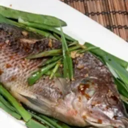 Steamed Tilapia